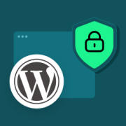 The Ultimate Guide to WordPress Privacy Compliance